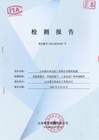 檢測報告